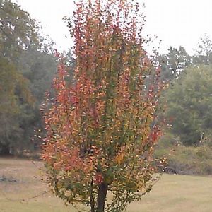 Meet your Posher, Letha